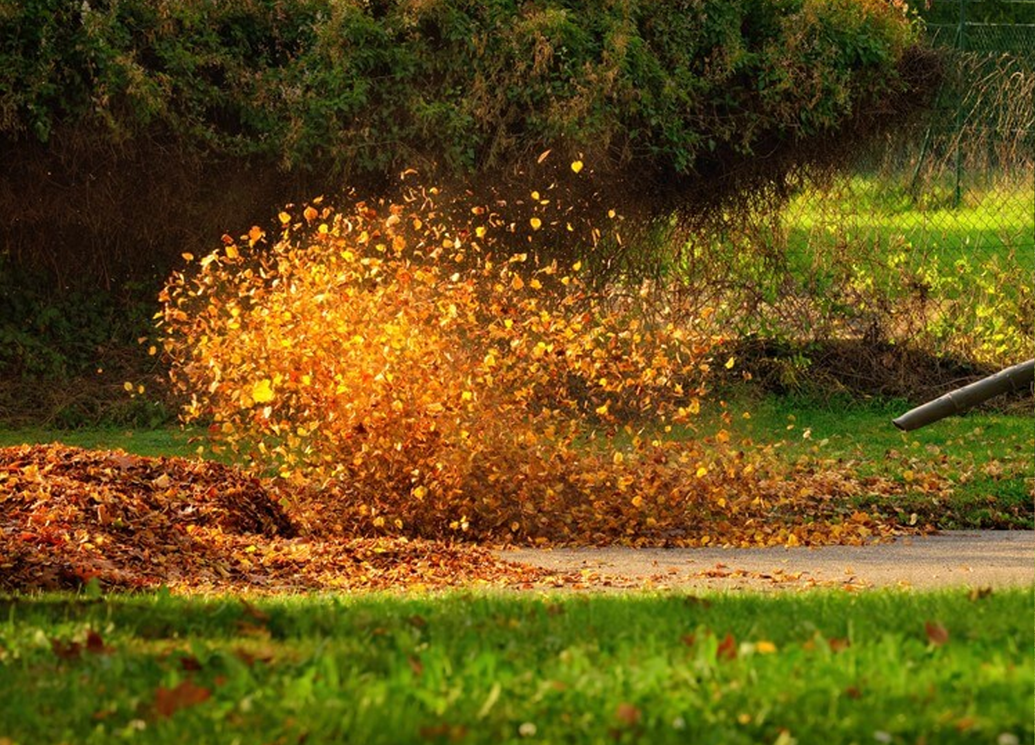 Spring & Fall Property Cleanup
