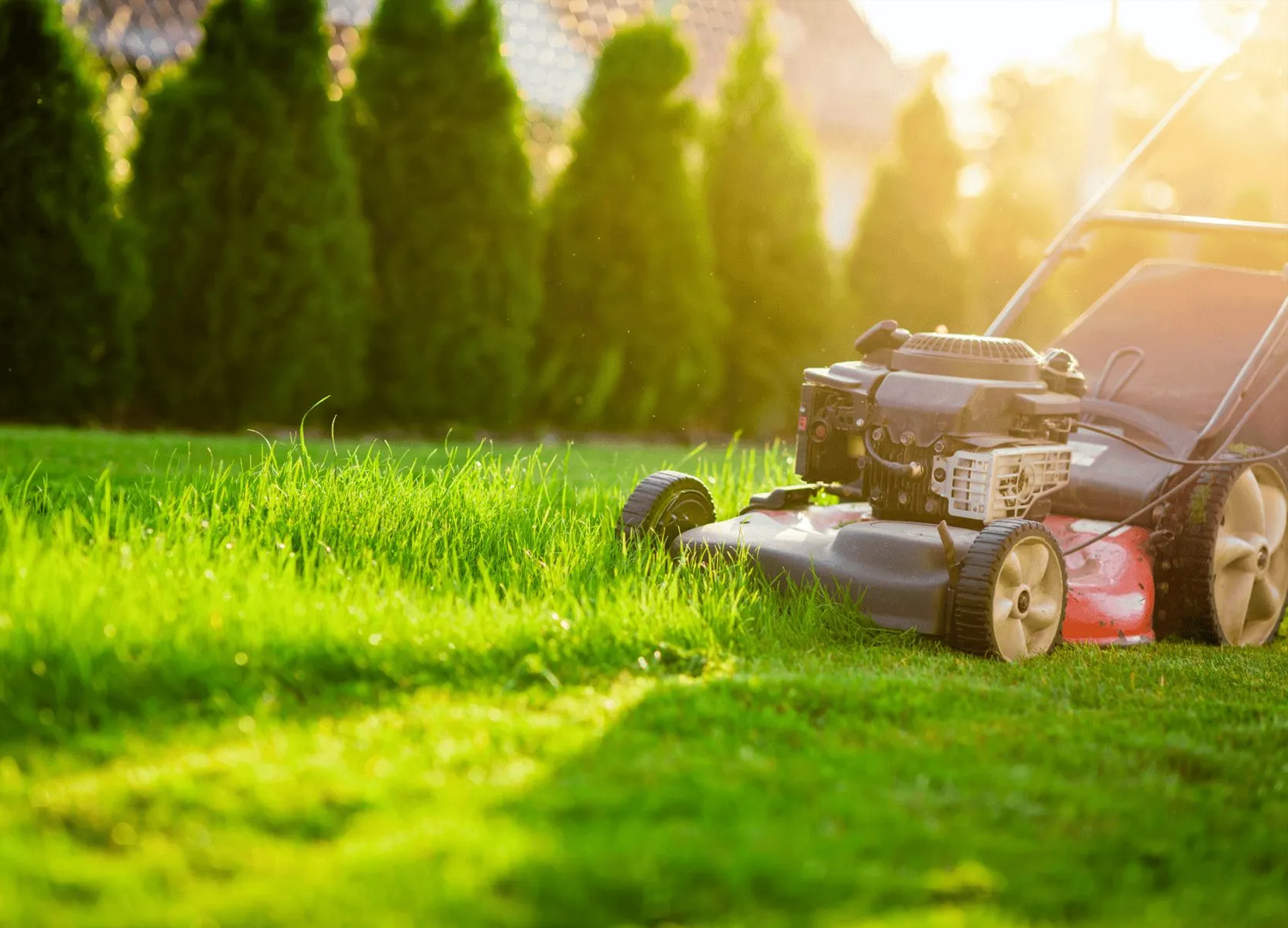 Professional Lawn Mowing