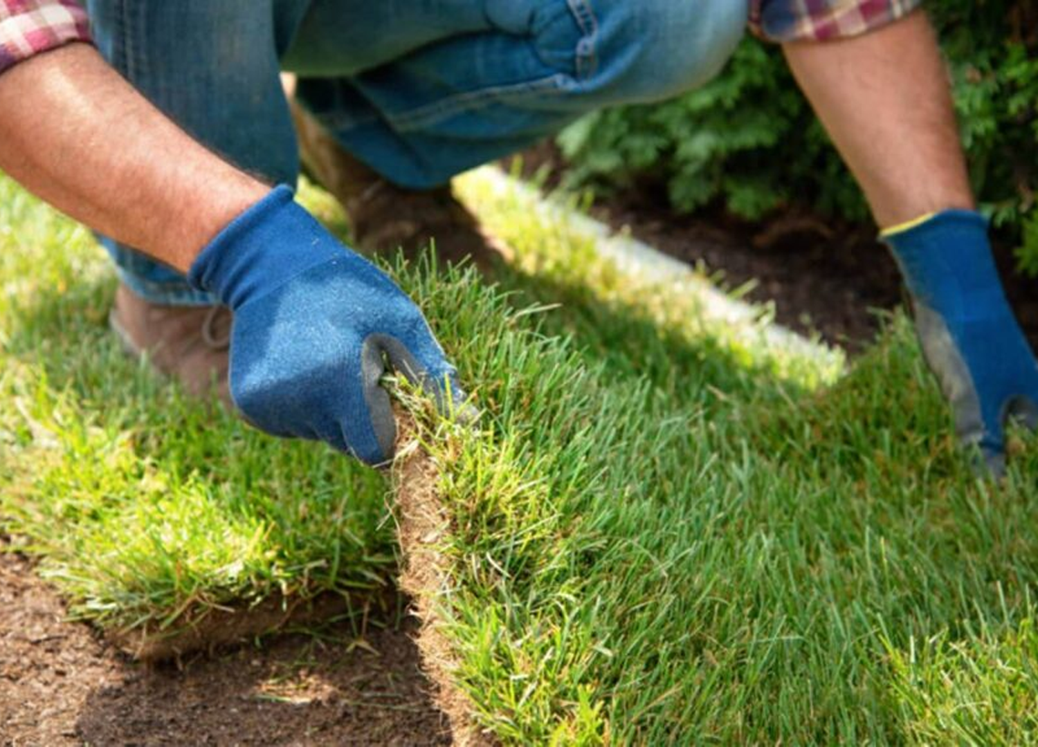 Instant Sod Installation